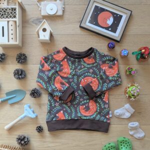 Sweat évolutif Renards